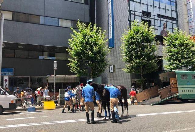 初到東京:看起來彬彬有禮的日本人,是真的熱心腸嗎?_因為_感覺_中國