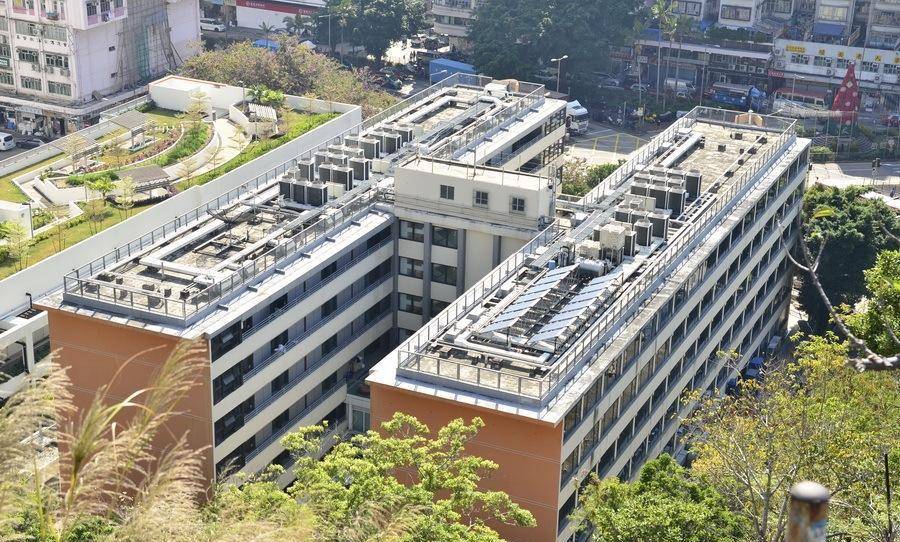 「港岛札记」石硖尾深水埗:公屋,山寨厂与街头小食之旅_香港_艺术