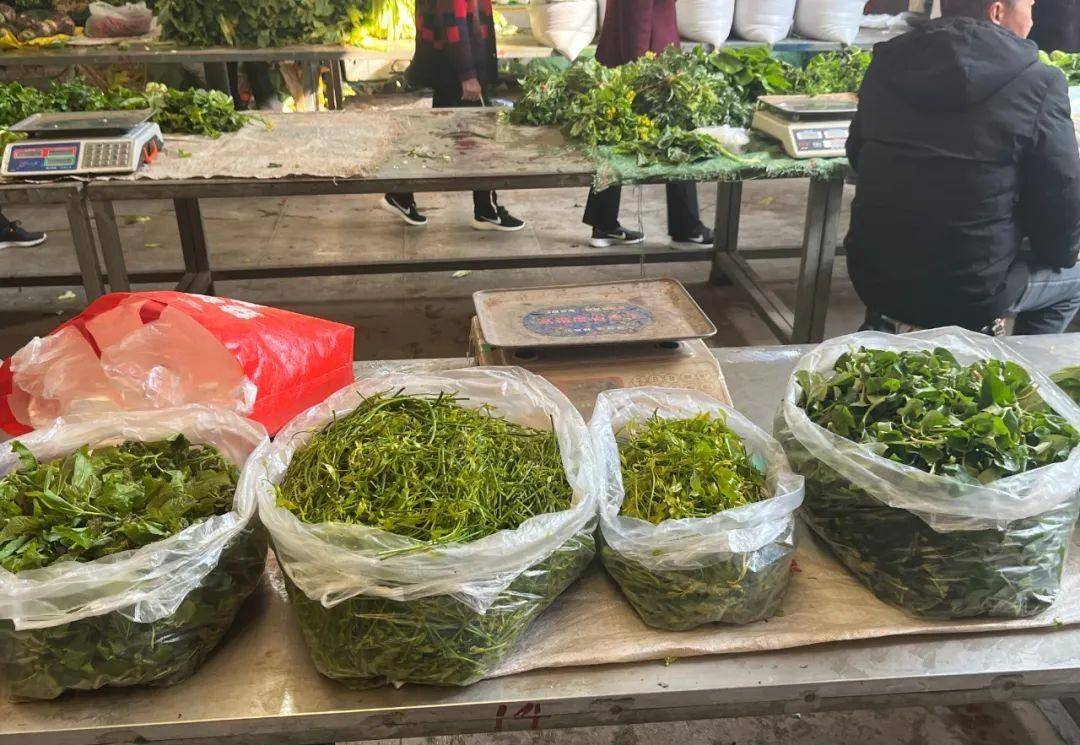 楚雄十余种野菜"抢鲜"上市!市民争相品尝春天的味道!