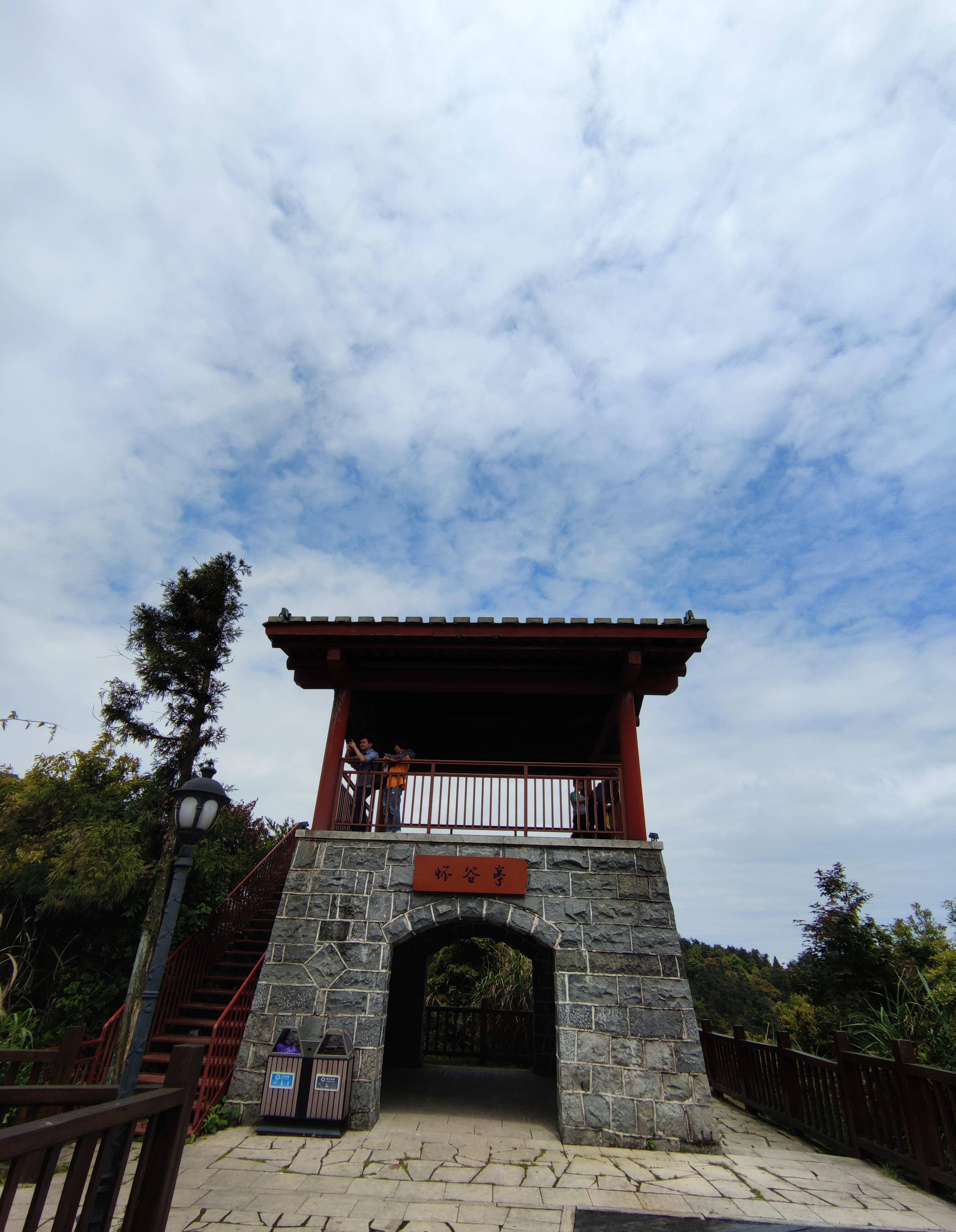 游鼓岭柱里寻芳美丽流苏树