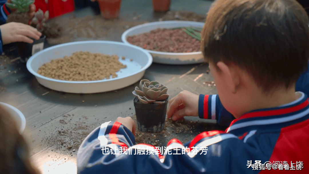 上饶城的郊外 一群小伴侣在田野里的春泥里嗅到了大地母亲的气息