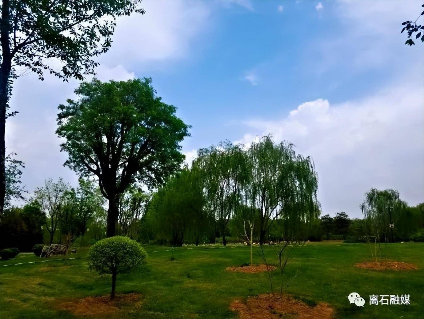 胜溪湖森林公园纪行_孝河_景观_休闲