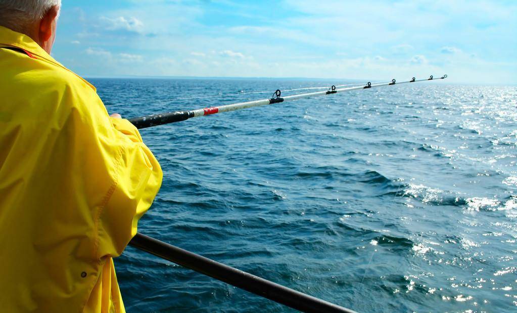 随心|一边领略大海的绚丽一边体会海钓的魅力—近海船钓攻略_淡水钓