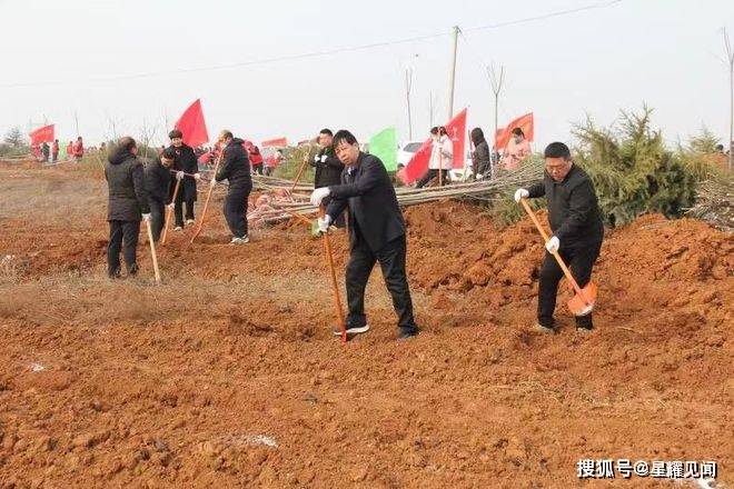 义马市工业信息化和科技局：义务植树用心用情鞭策绿色开展