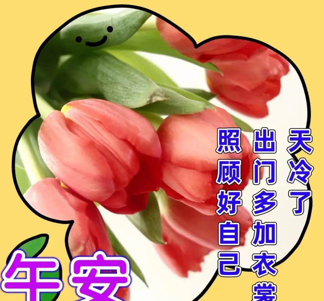 上午好!