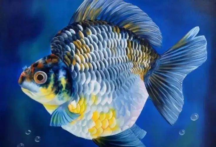 生物小知识1鱼类鳞片的类型和特点_scale_进化_菱形