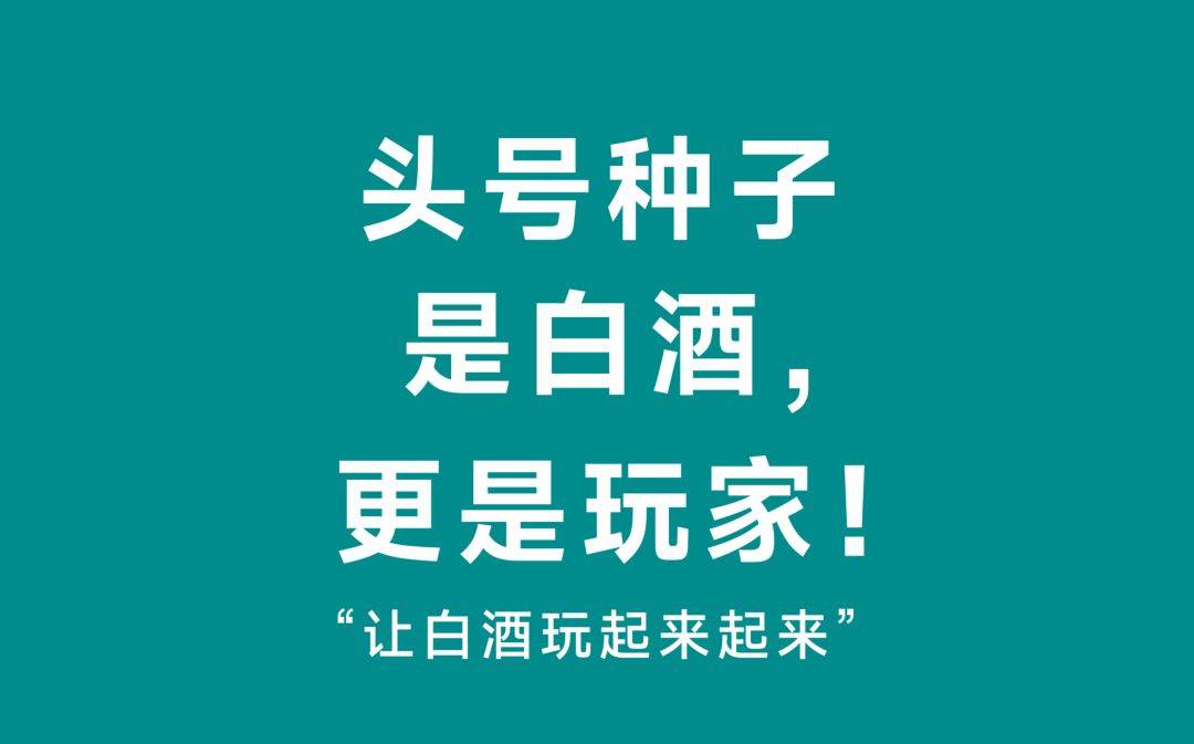 金种子 x 甲古文创意|头号种子,是白酒,更是玩家!_消费_视觉_中国