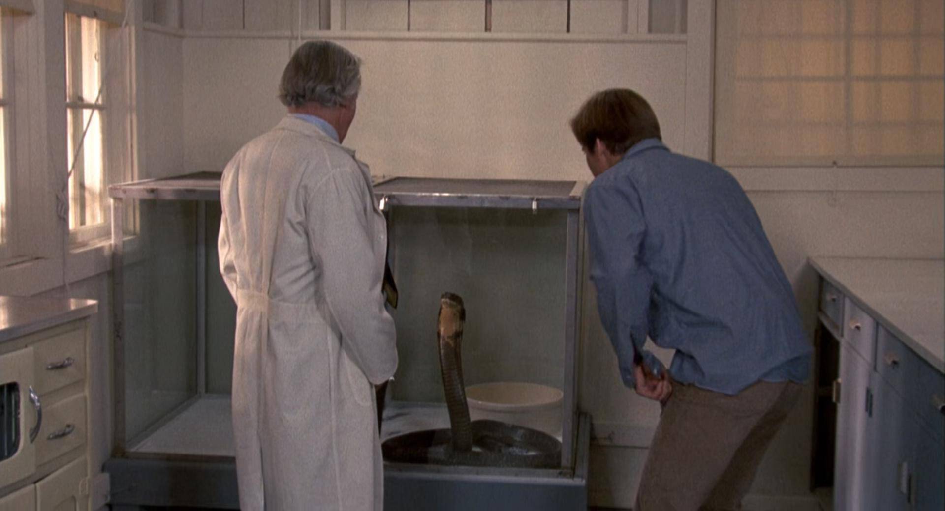 帅小伙变蛇._戴维_医生_身体