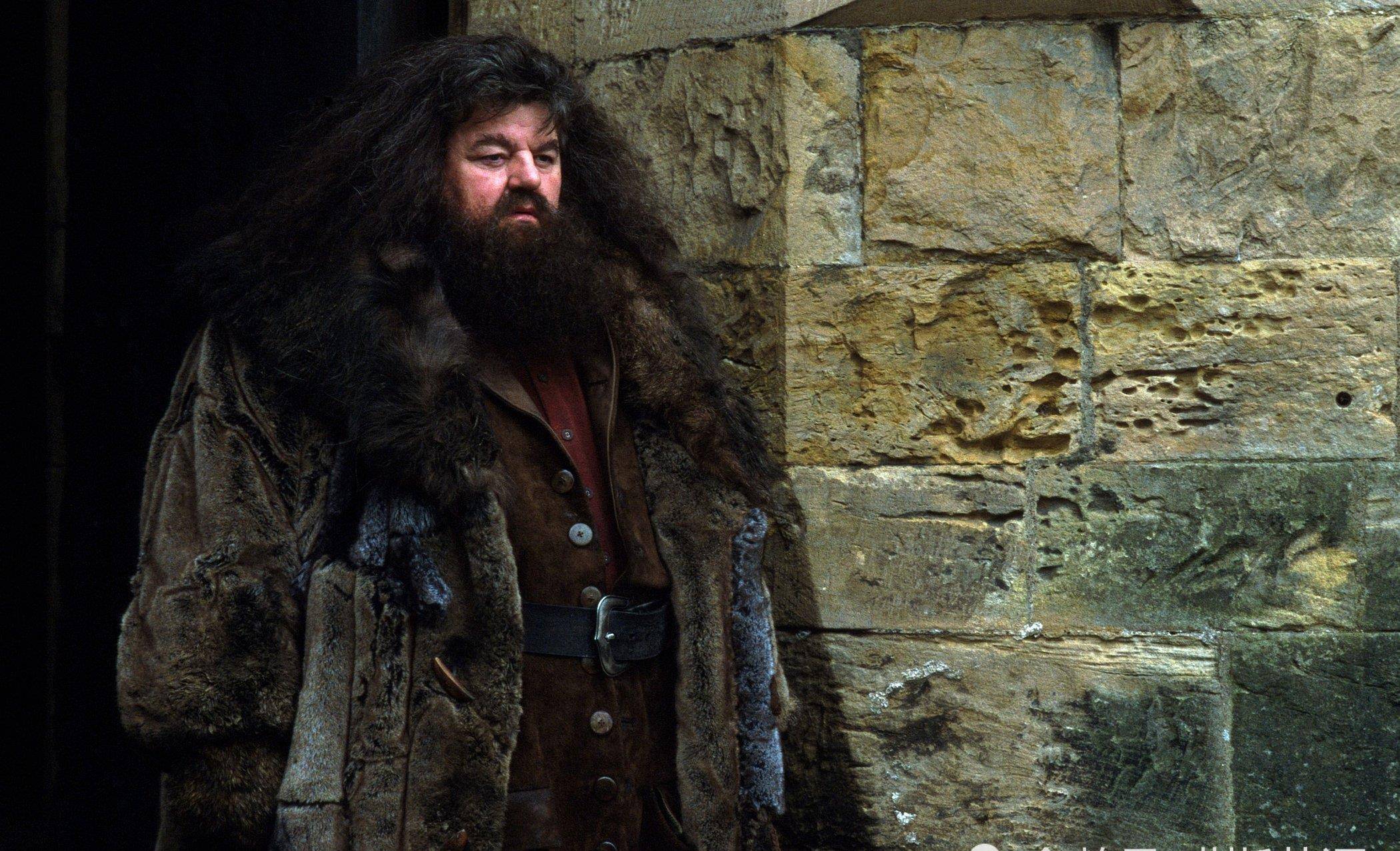 盘点《哈利波特》中被低估的5大巫师,他们的实力绝对可以跻身一线_德