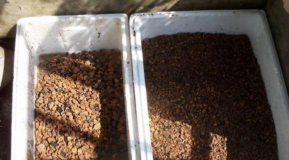 煤渣_颗粒_花友