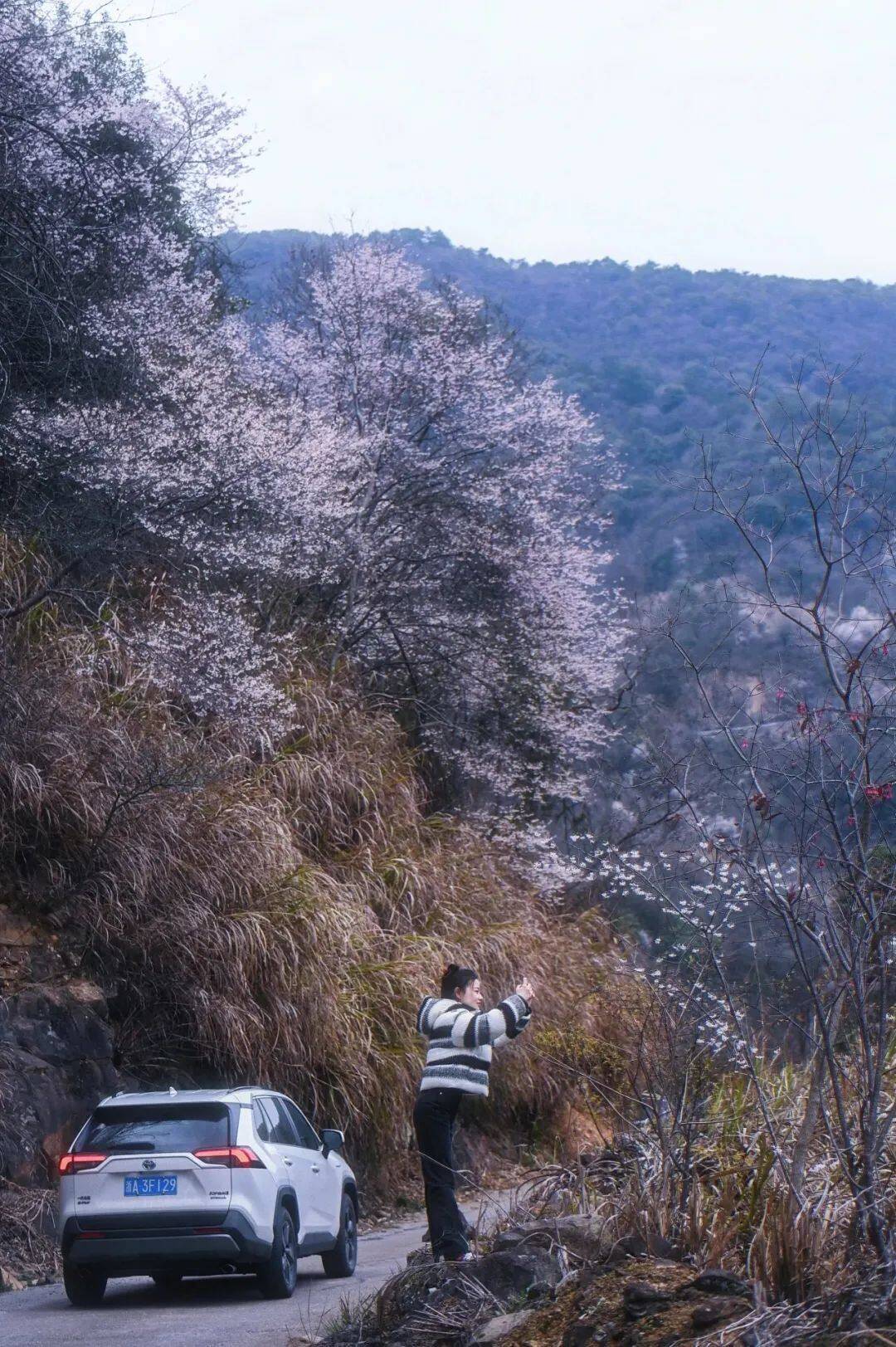 建德三都非遗（建德市三都镇三都村） 第14张