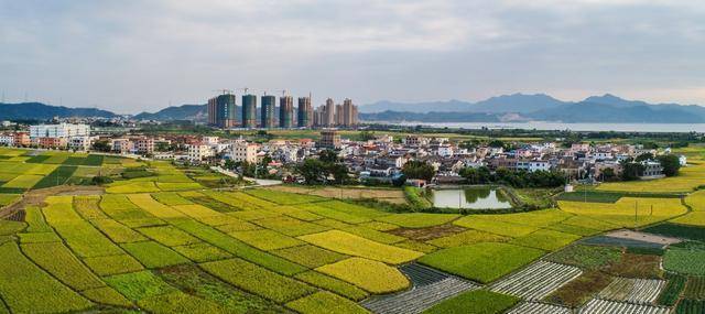 构建新发展格局,惠东稔山全力打造惠州湾"海洋客厅"_稔山镇_环境_工作