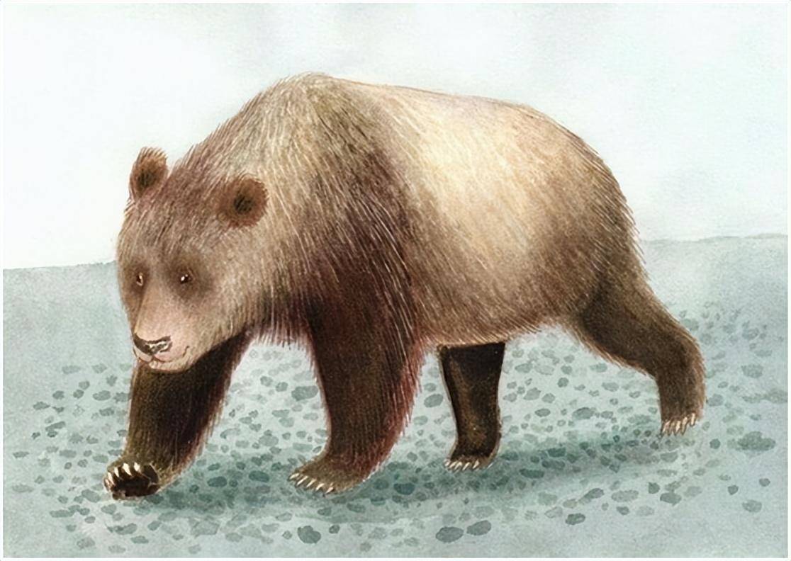 重磅,欧洲发现远古大熊猫化石_牙齿_保加利亚_研究