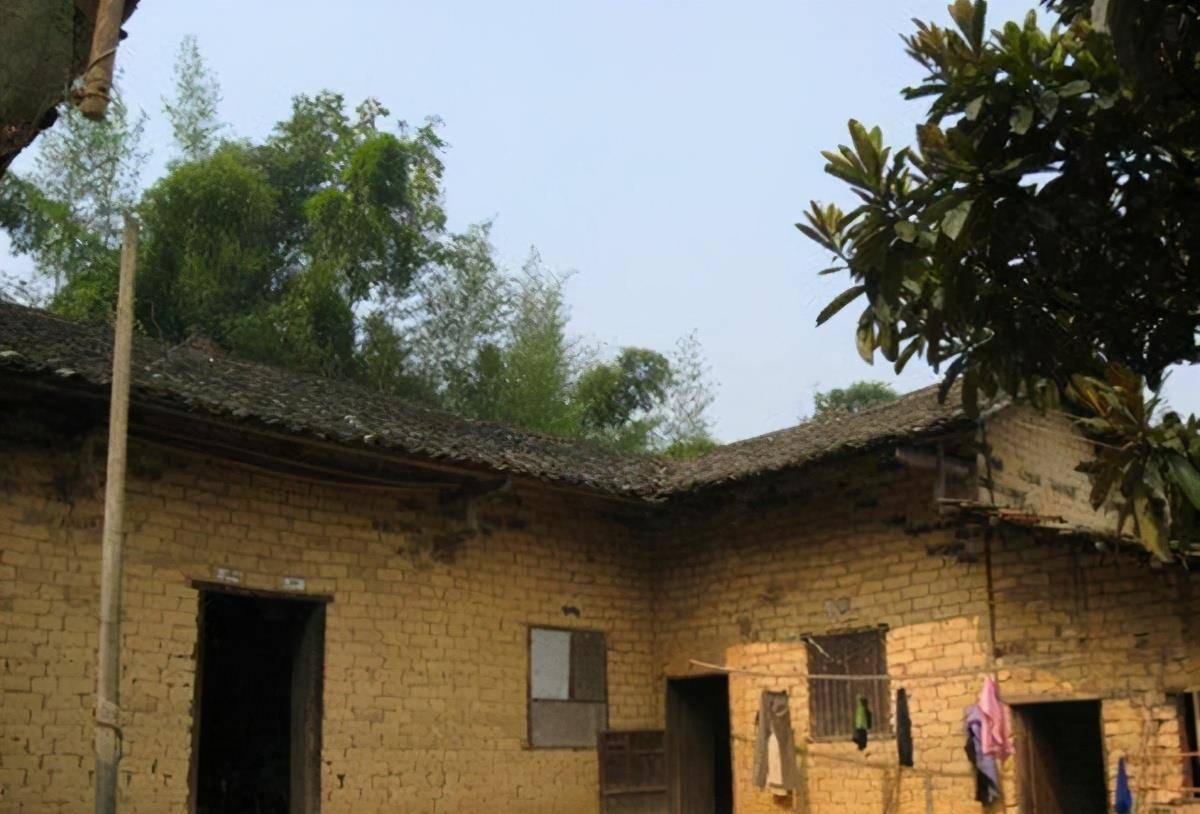 张站立的父母也觉得这个媳妇根本不适合与老实人过日子,觉得离了也好