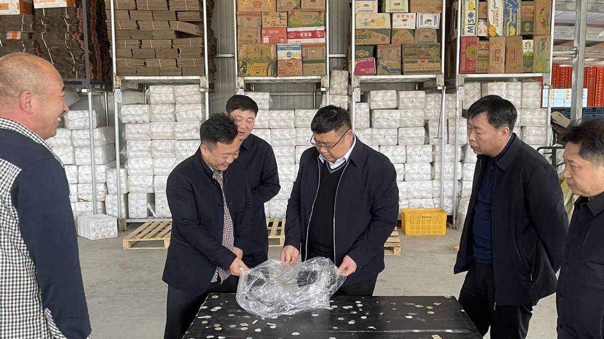 3月2日,市委常委,副市长王寅深入我市东社镇对梨产业深加工进行实地