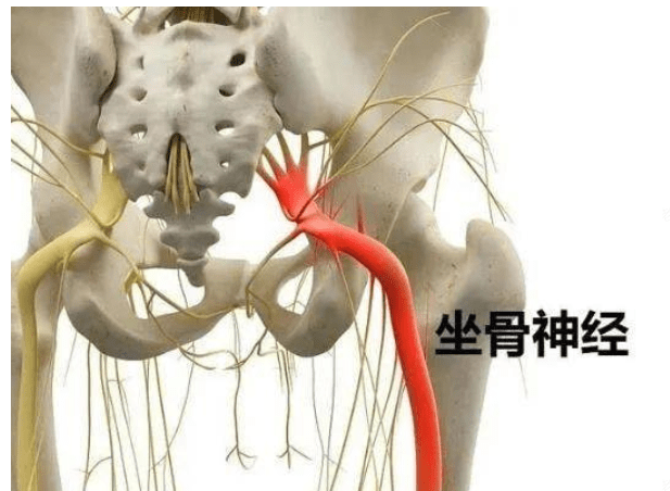 南京同仁堂老黑膏