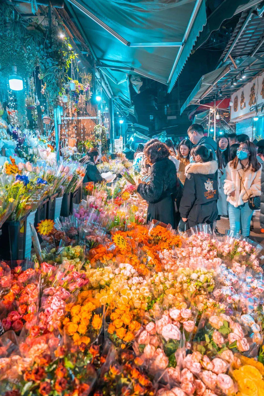 一半烟火,一半诗意,藏在老巷里的单洞花市_鲜花_店家_花束