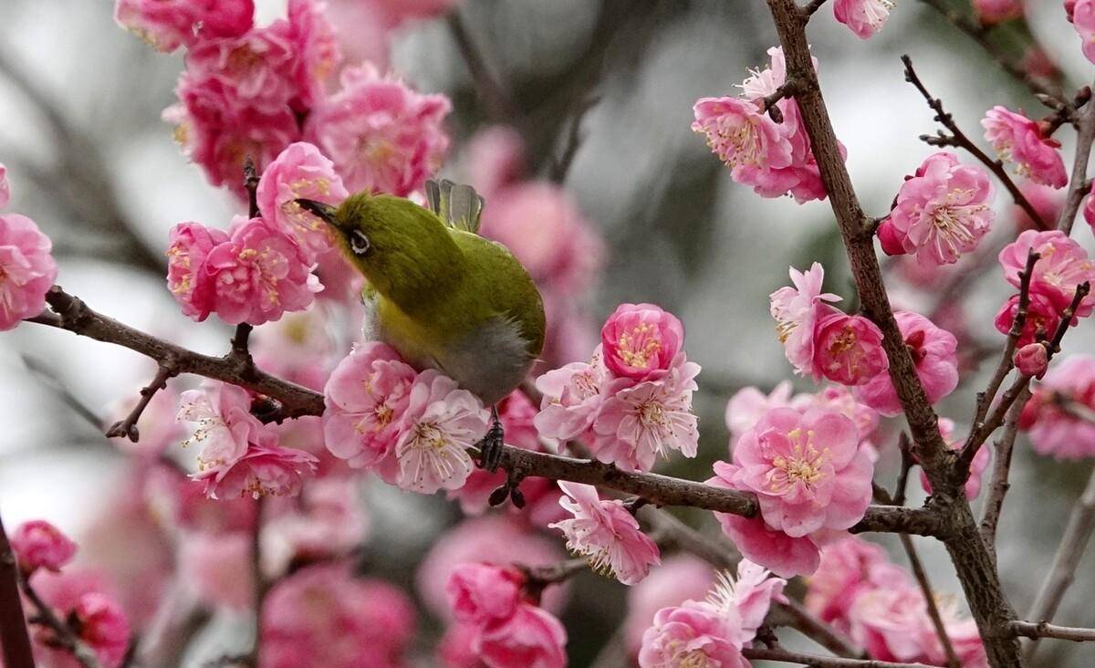 原氏辈分排行_这6人在当今相声界辈分最高有些熟知有些不识(2)