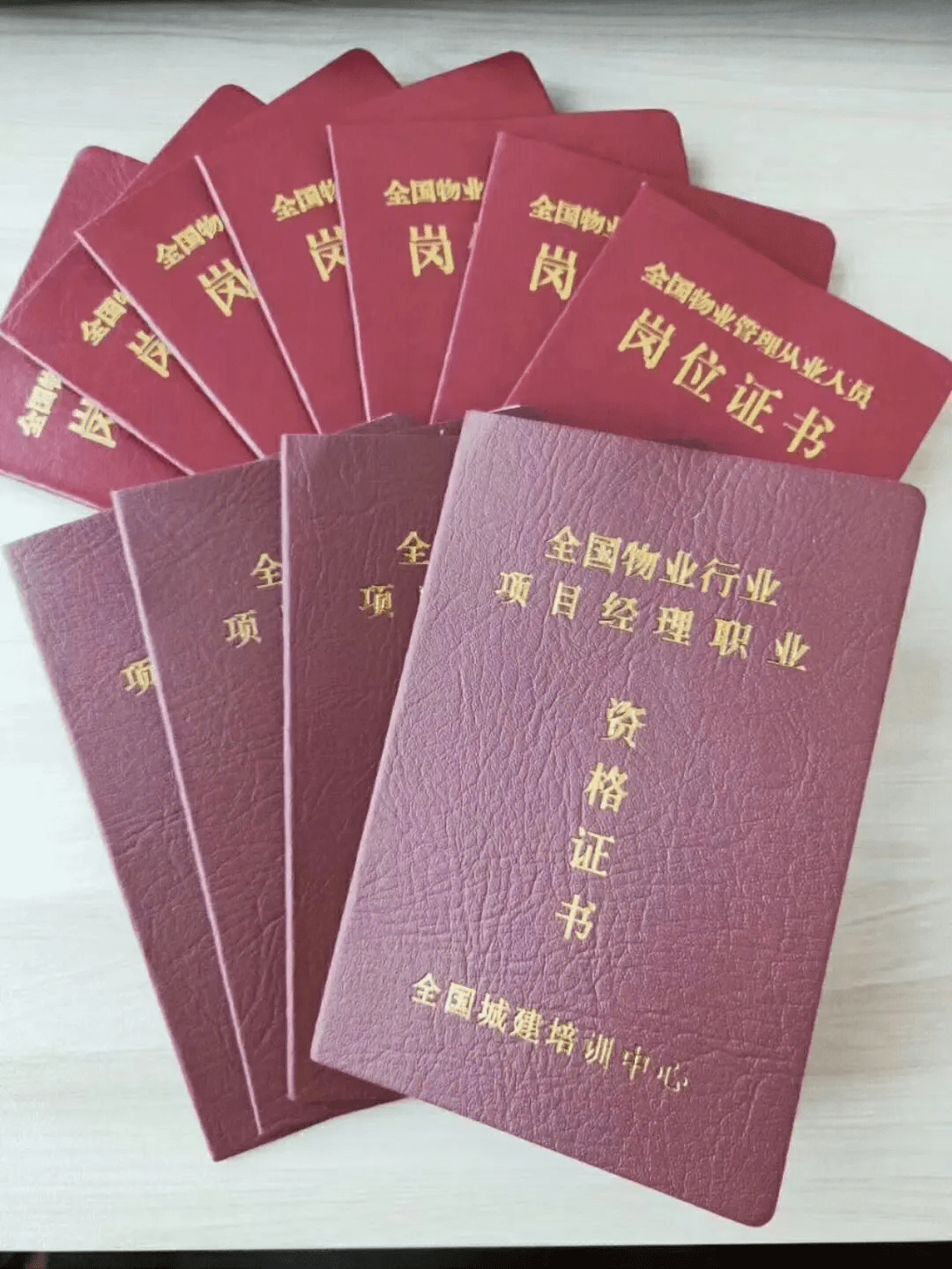 高级项目经理资质证书查询(高级项目经理资质证书查询系统)