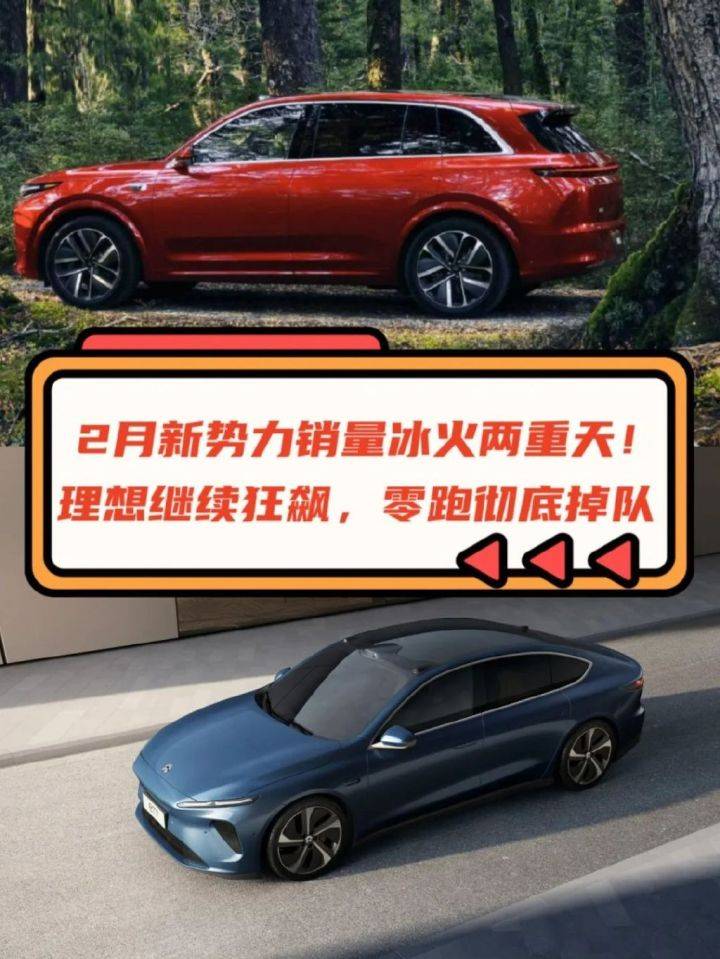 2月份新势力销量冰火两重天！理想狂飙，零跑掉队_搜狐汽车_搜狐网