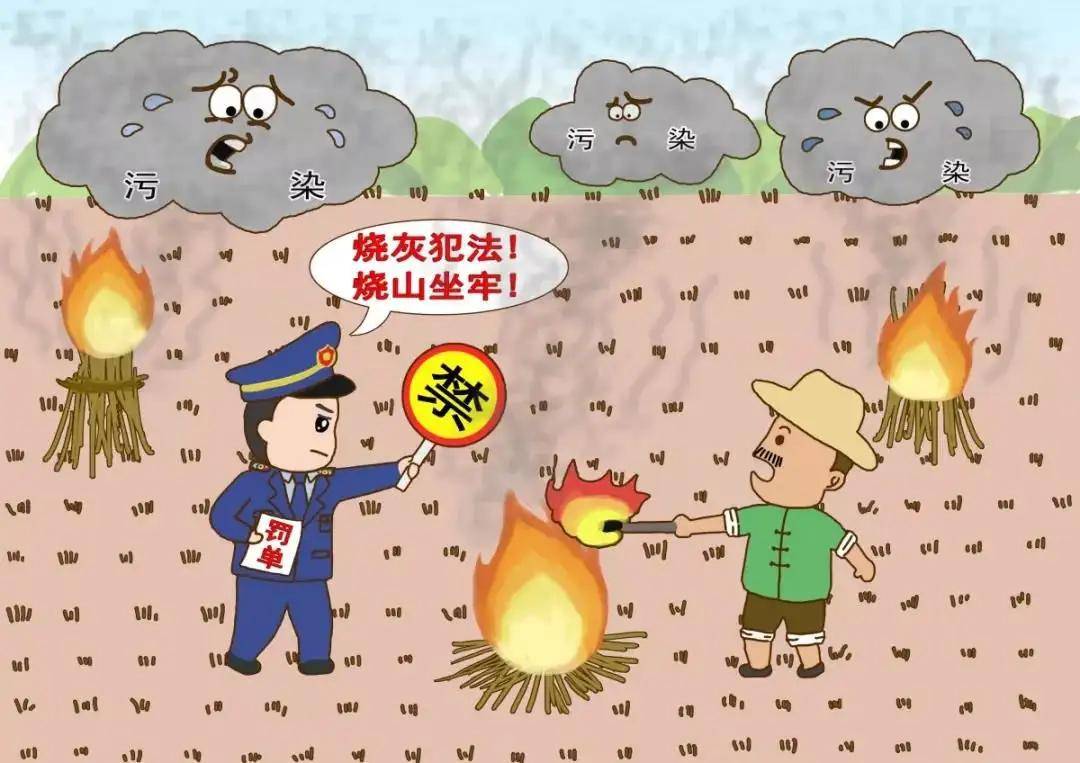 而焚烧秸秆既能灭杀绝大多数藏在麦茬里的害虫和虫卵,又能消除一部分