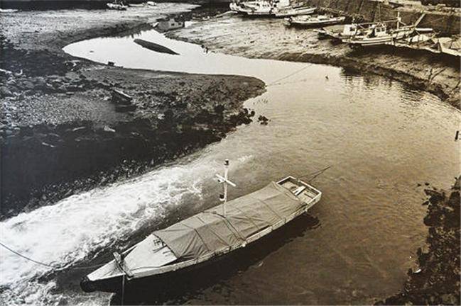 日本"水俣病"事件始末:5万只猫集体跳海自尽,背后隐藏着什么_水俣镇