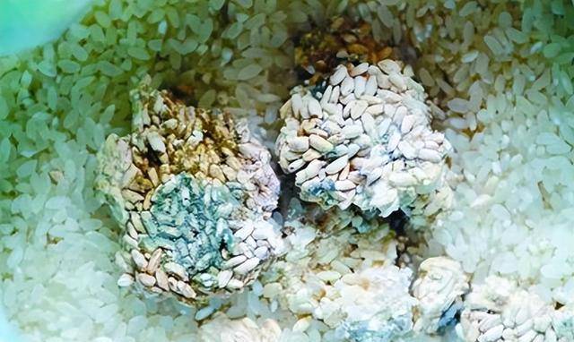 的粗粮,特别是那些保存时间较长的粗粮,如果发现粗粮已经发霉或者变质