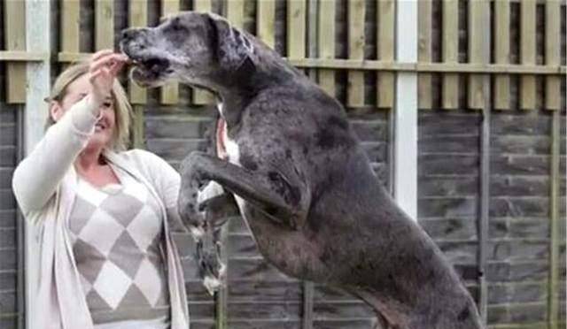 费雷迪 来自搜狐网