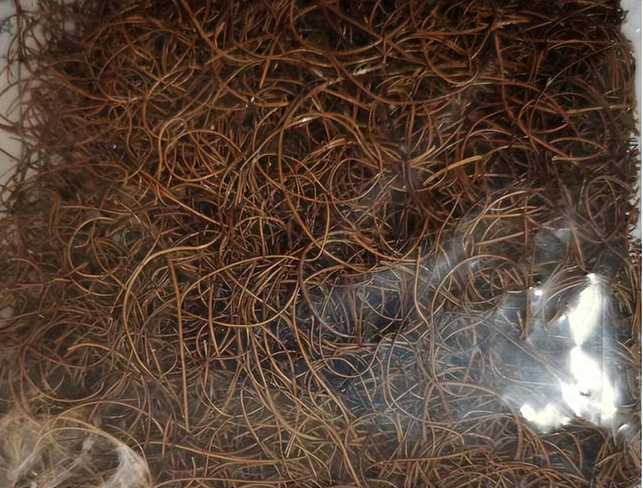 "粑粑丝"是啥? 众人吸食被警方当场抓获_毒品_河口_烟丝