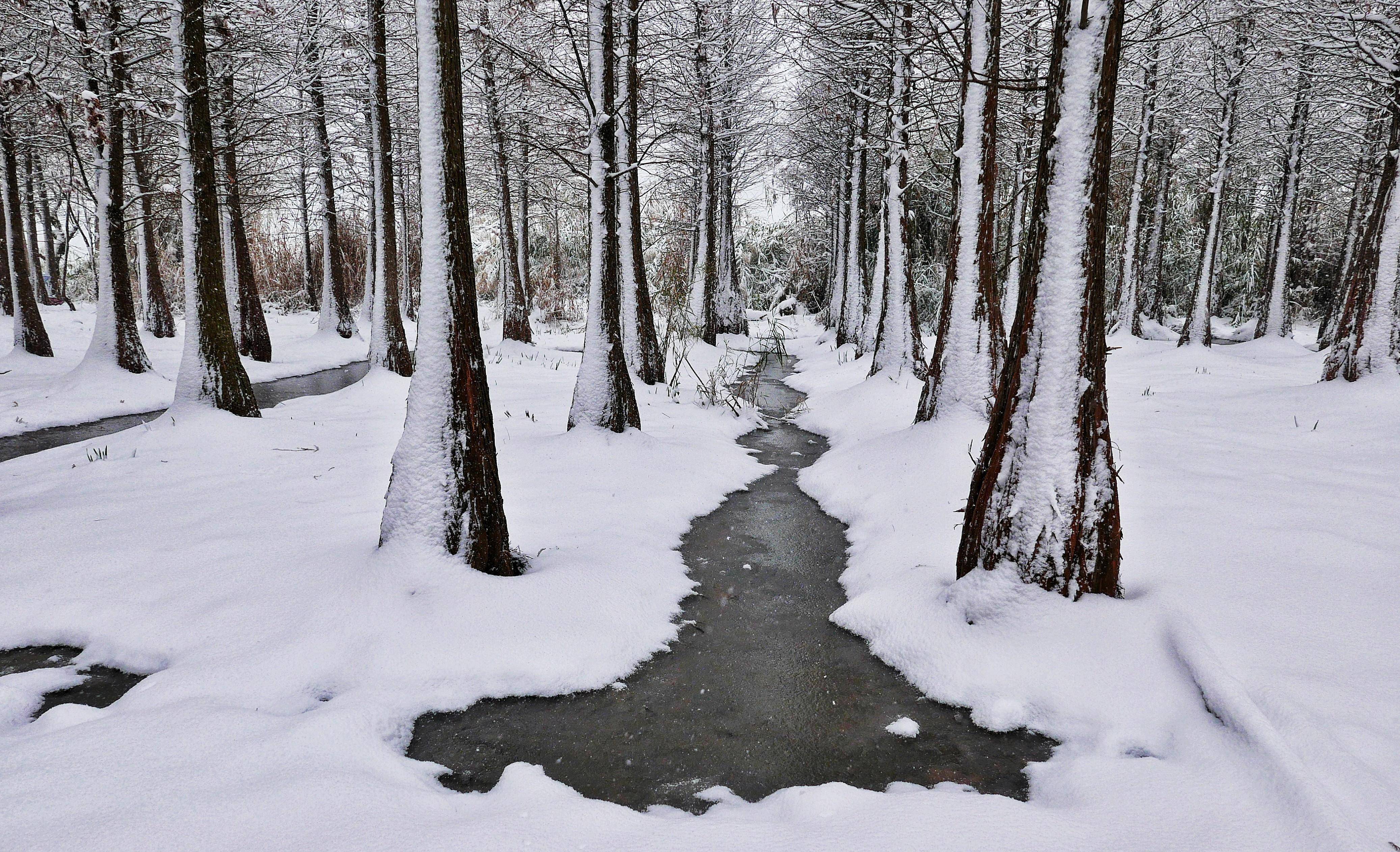 春雪纷飞,对于北方人来说习以为常,但对于昆明当地市民却是难得的天赐