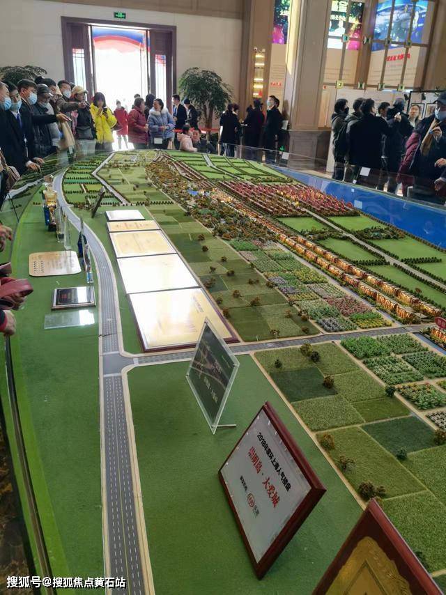 崇明岛大爱城-未来价值分析_搜狐网