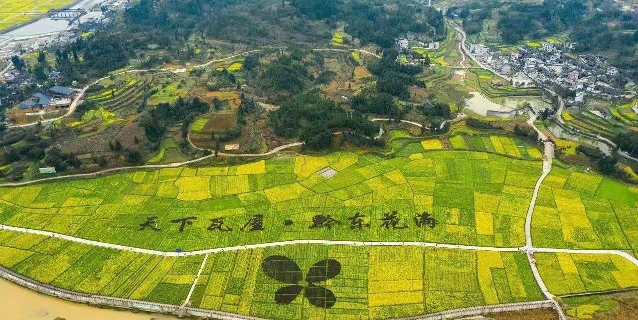 瓦屋,位于铜仁碧江区,这里种植有上万亩的油菜花,是铜仁市最美的油菜