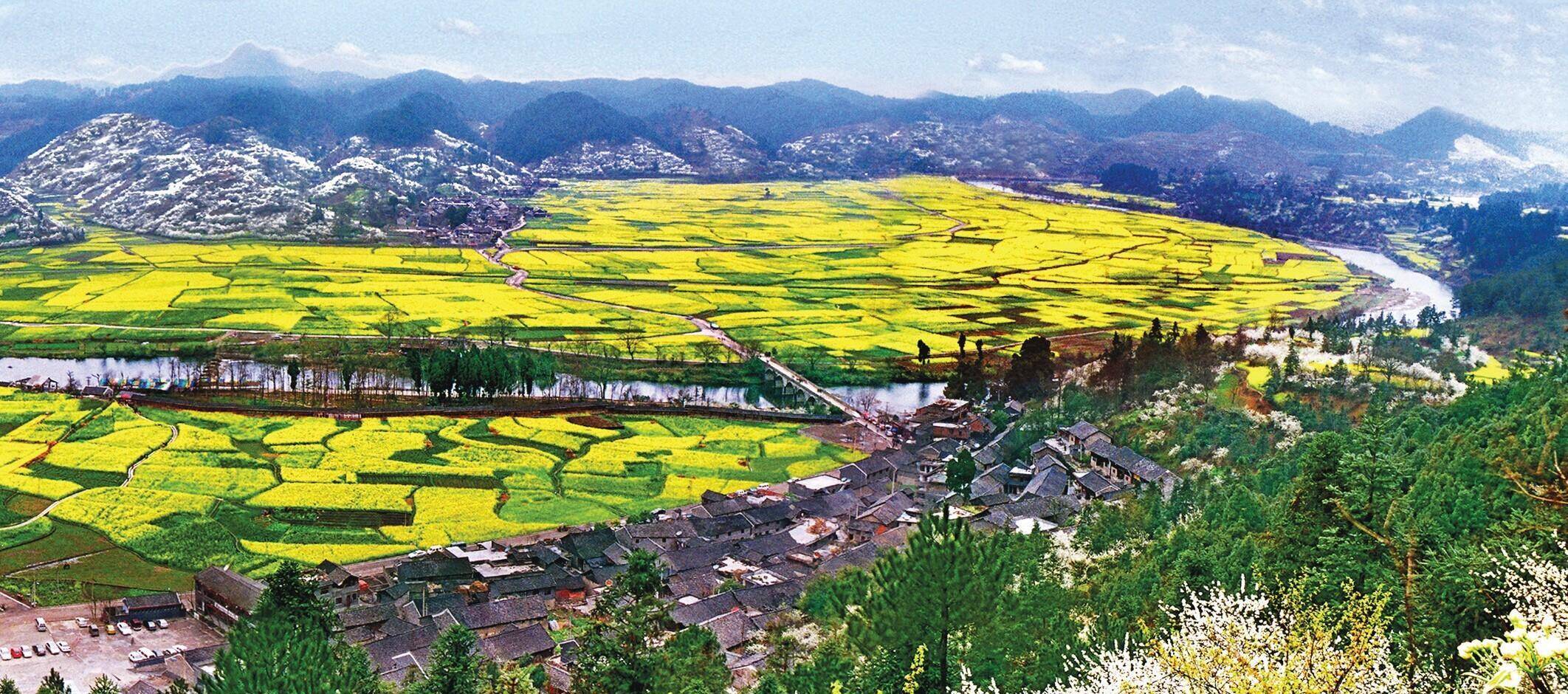 贵阳市周边油菜花景点图片