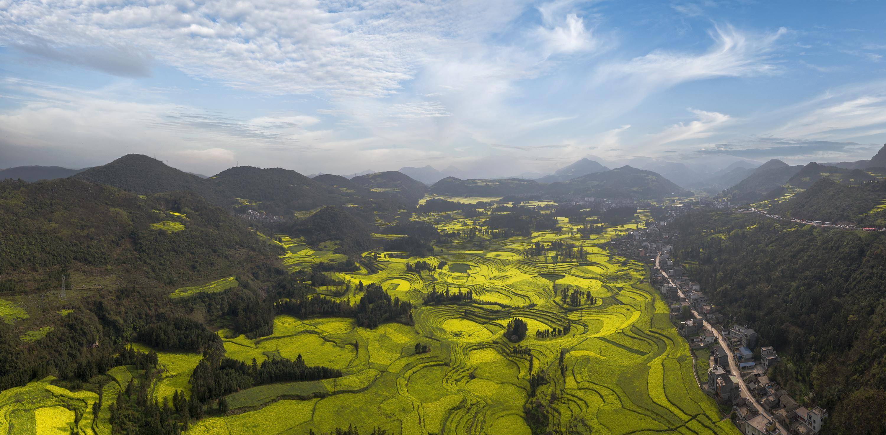 早春二月,风景这边独好,云南罗平油菜花海旅拍_牛街_金鸡_马街