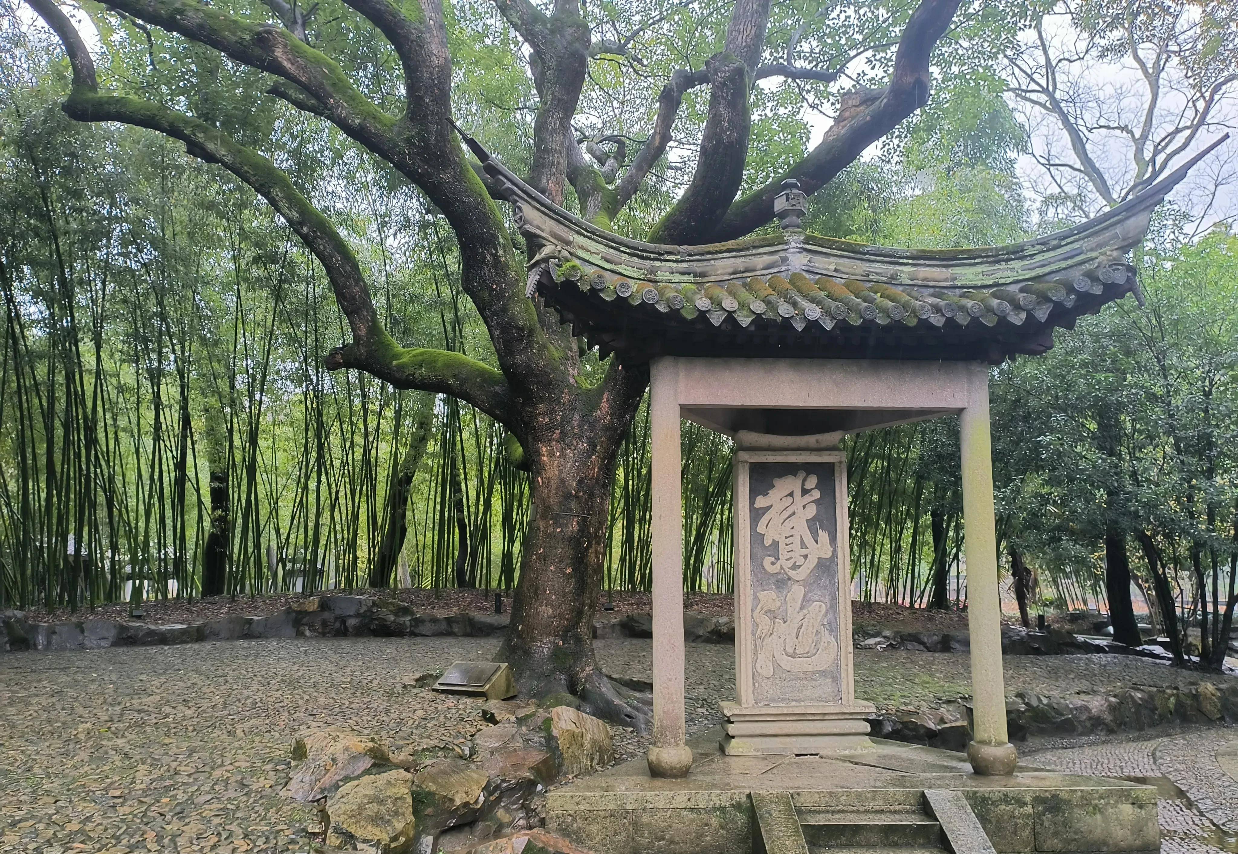 紹興蘭亭,一處優雅的古典園林,3月底之前免費,只需預約即可_景區