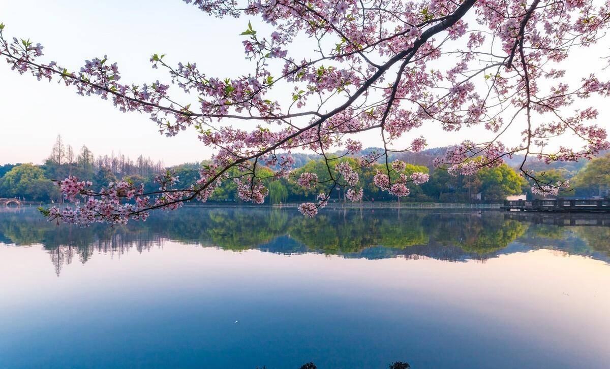 杭州西湖春景图片图片