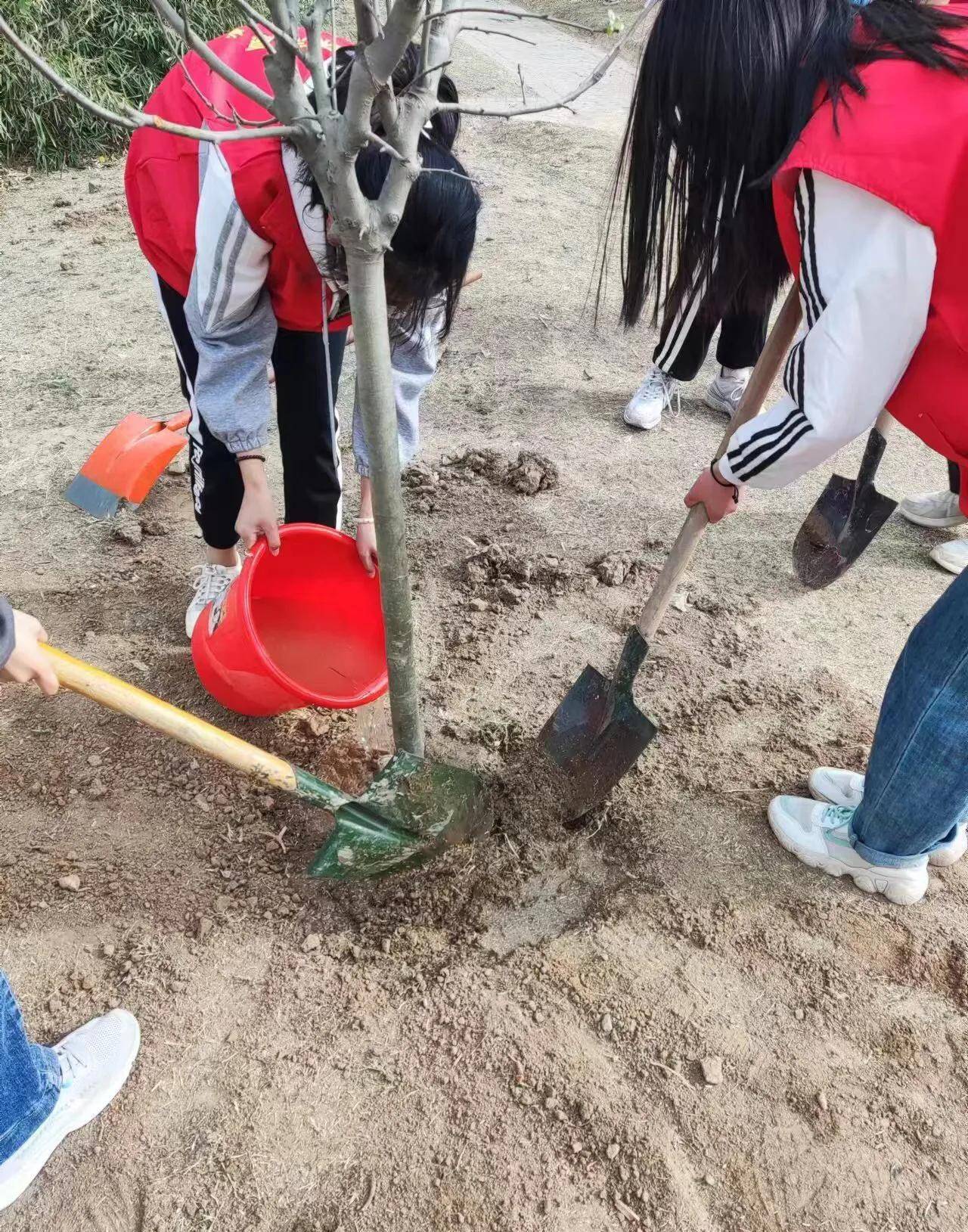 大学生植树节浇水图片图片