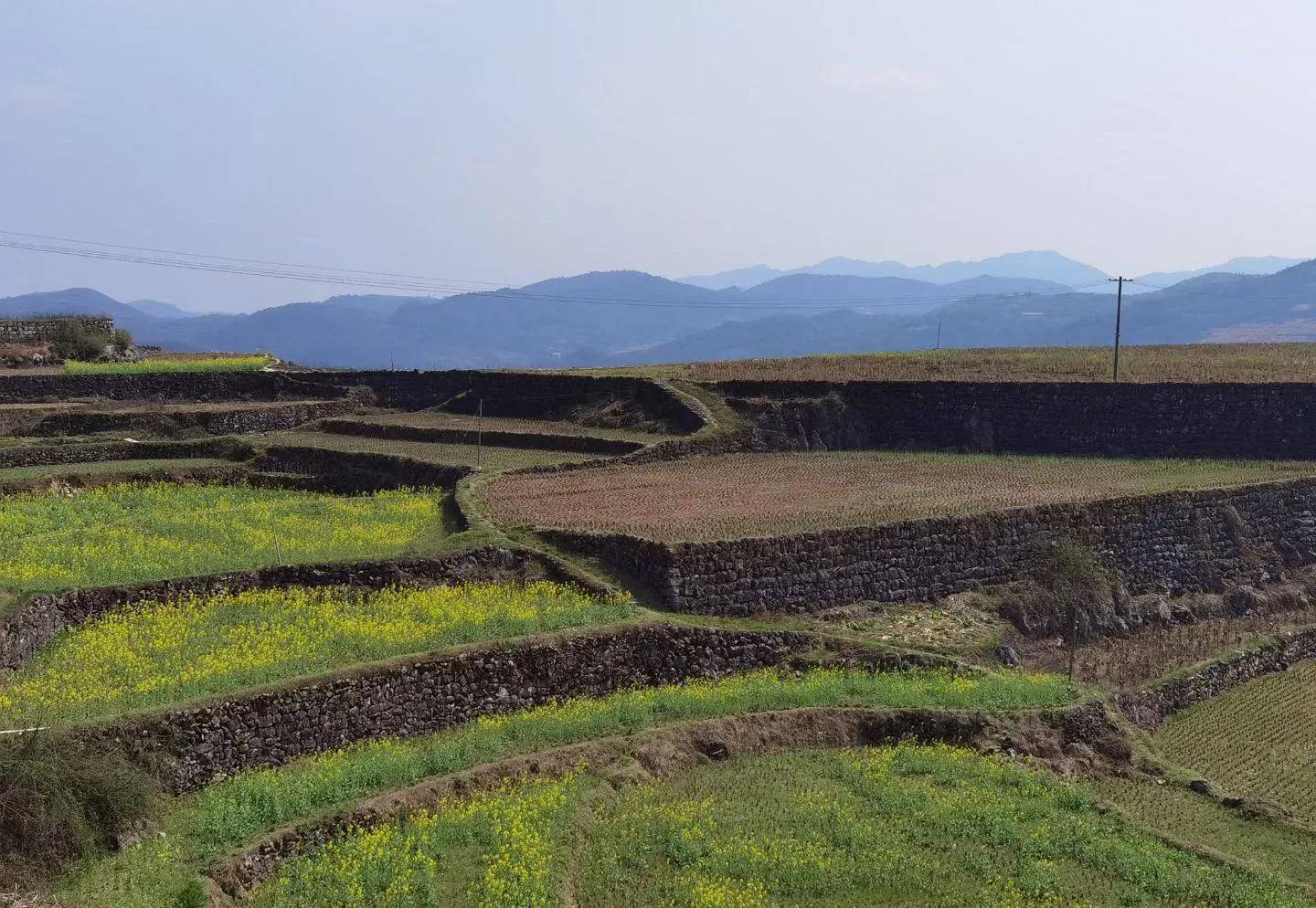 湖南邵东野鸡坪村:当年全国农业学大寨的典型_洛塔_石头_精神