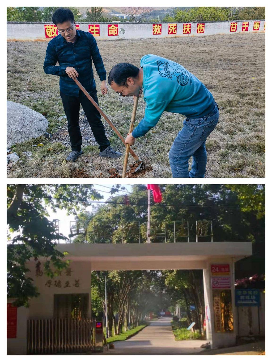 于都县铁山垅镇卫生院开展"春学党史,植树添绿"主题党日活动_建设