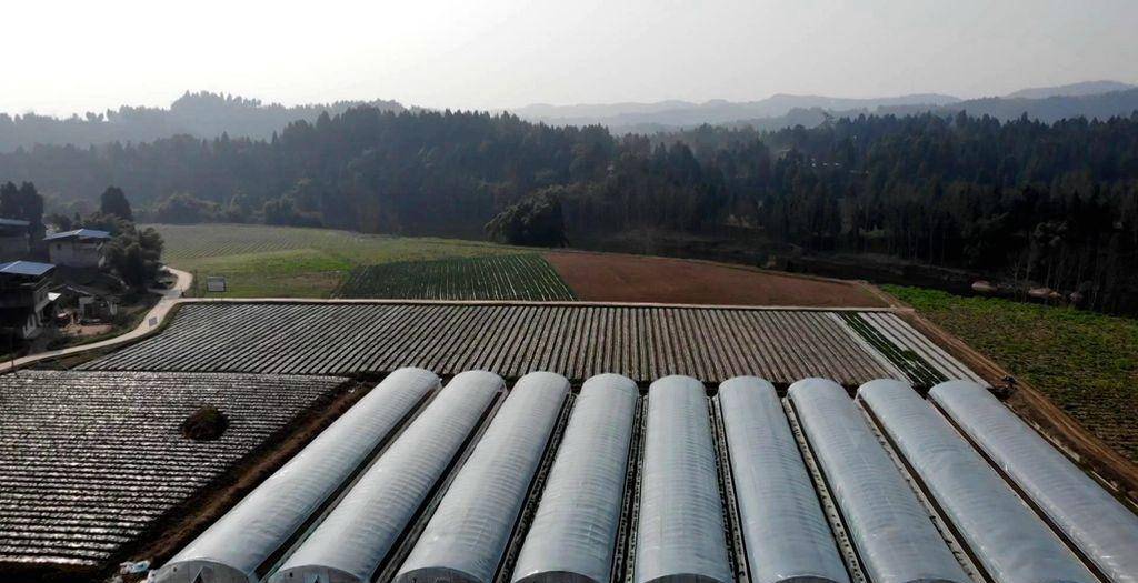 南充仪陇:助力春耕春管 5018吨生物有机肥送到田间地头_国际_何建军