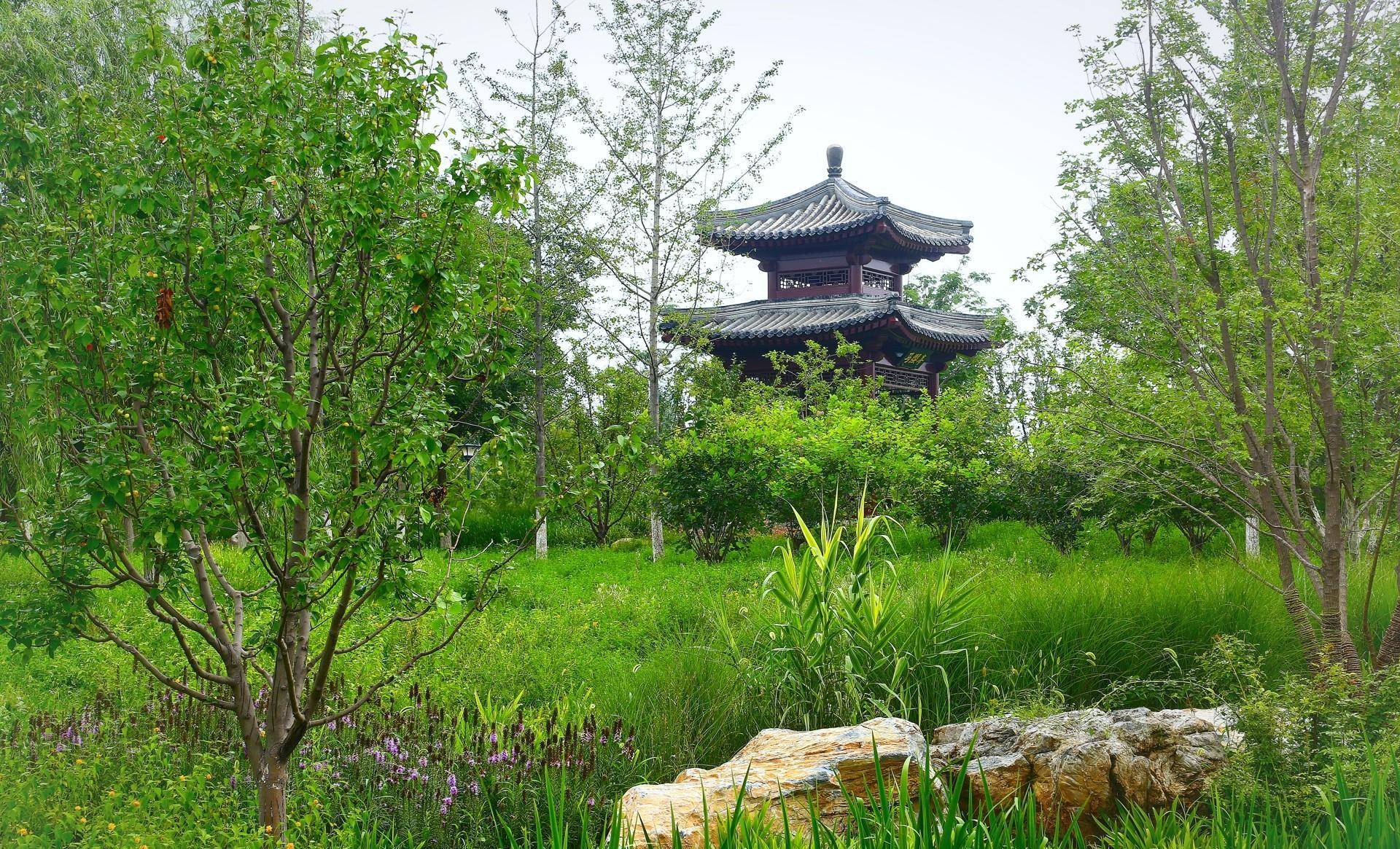 盘点北京六大免费森林公园,个个都是景美人少的踏青赏花好去处!