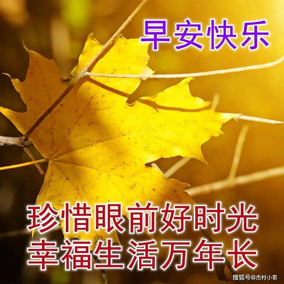 干货分享（恶搞怀孕朋友圈的说说大全）怀孕发的搞笑心情短语 第4张