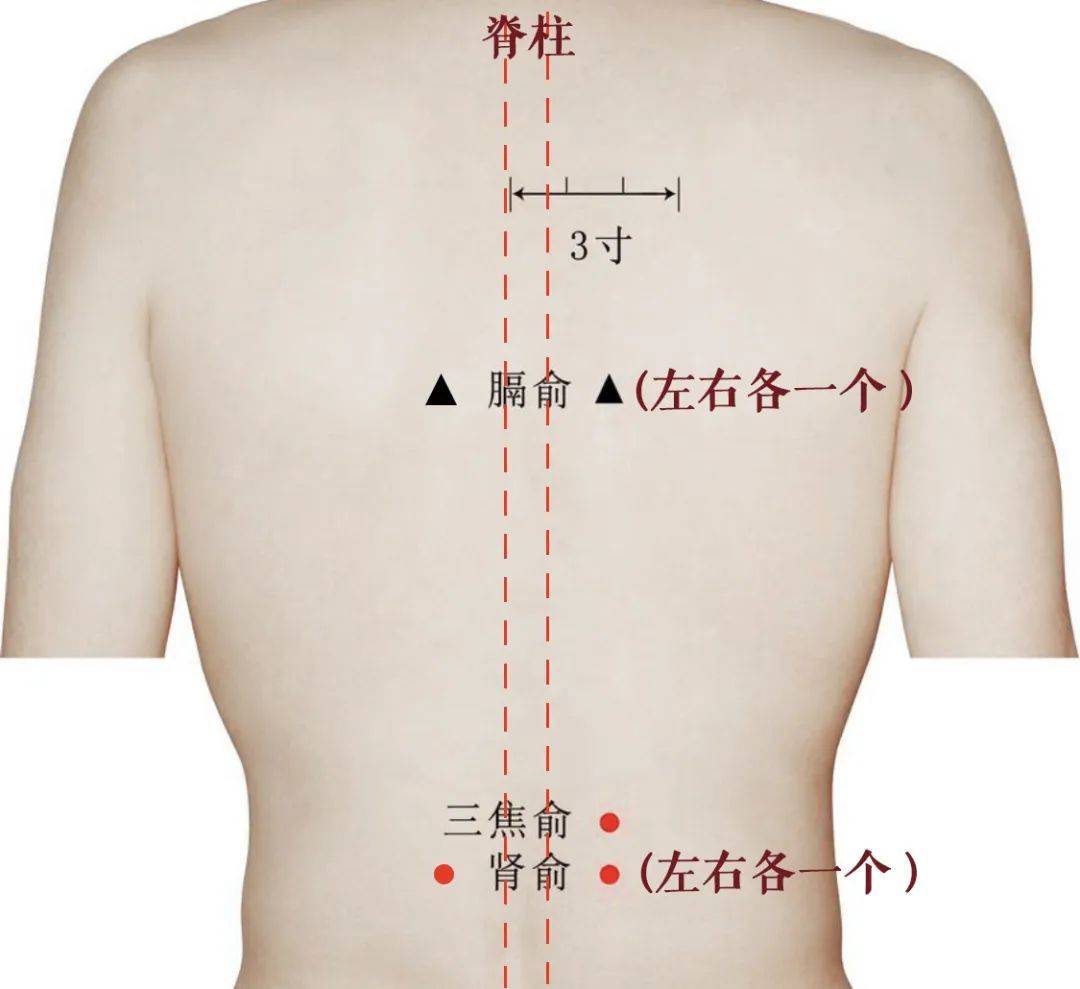 贴贴贴，又是一年三伏时