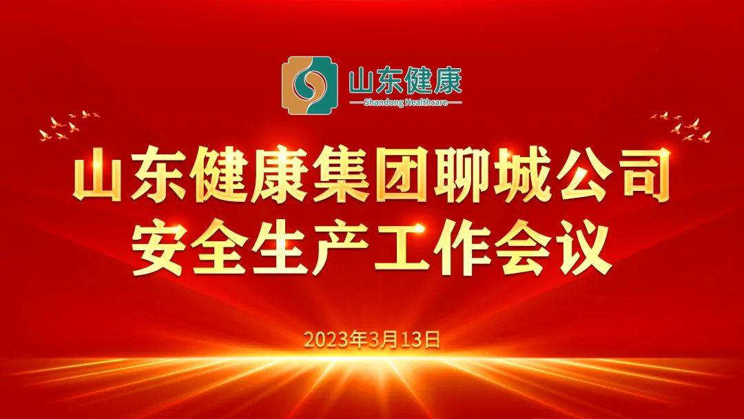 山东健康聊城公司组织召开安全专题会_养老_工作_管理