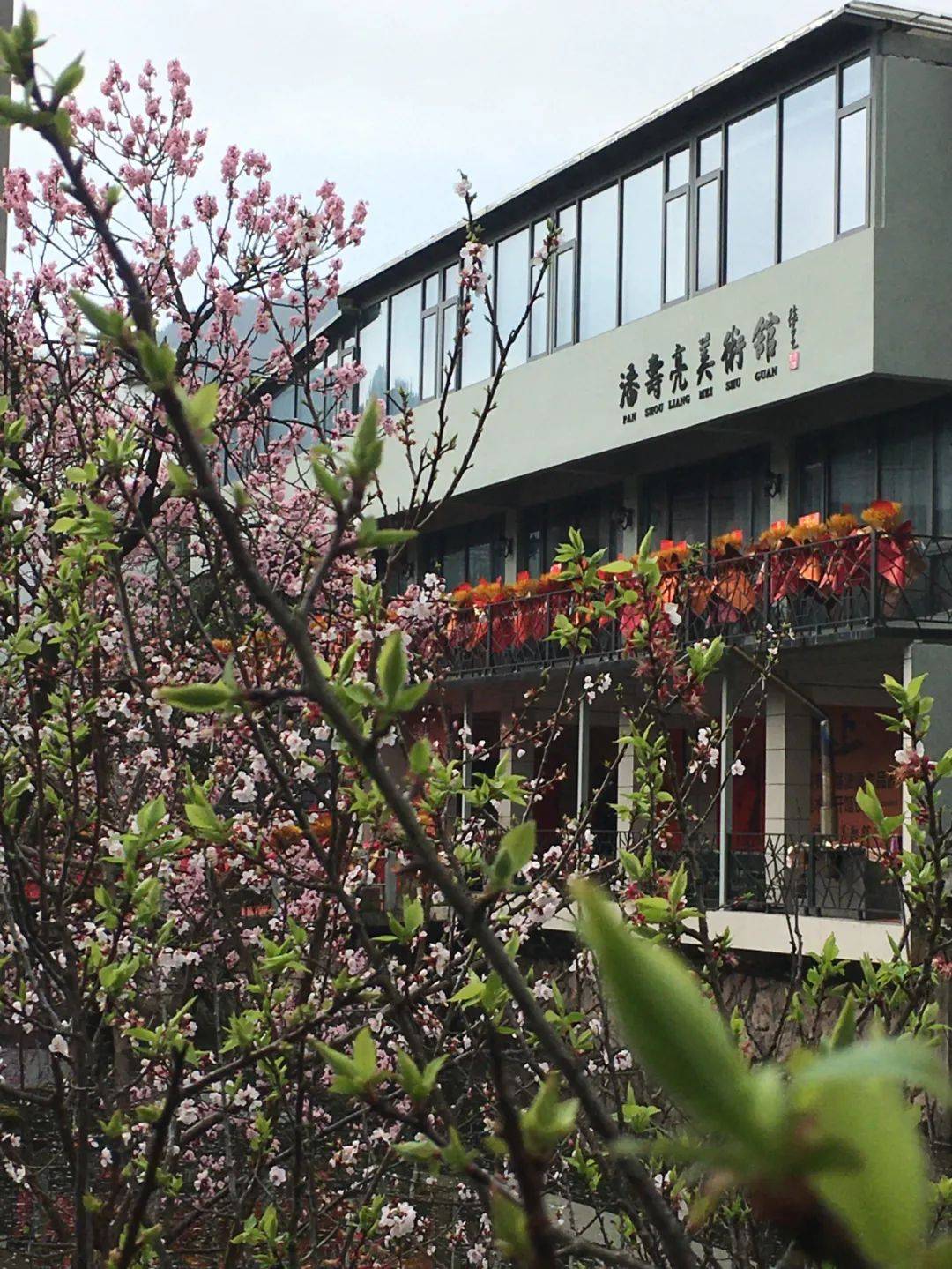 潘寿亮美术馆开馆仪式在浙江缙云杏花村博士村中隆重举行