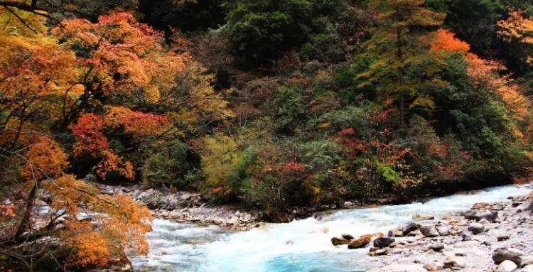 四川雅安市寶興縣值得遊玩的旅遊景點有哪些?自駕遊有什麼攻略?