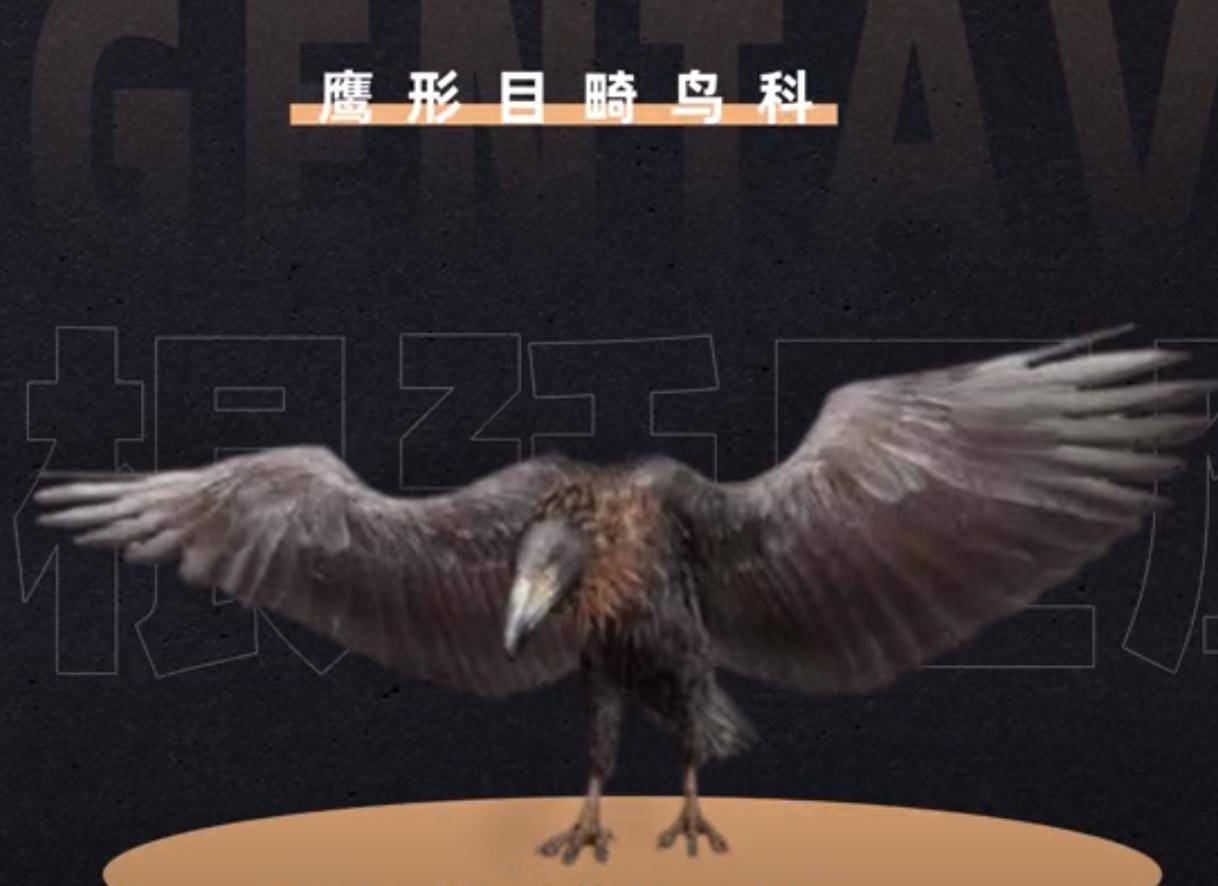 世界上最大的老鹰,身高超2米,可吃掉狮子,至今未发现其天敌_阿根廷_体型_猎物
