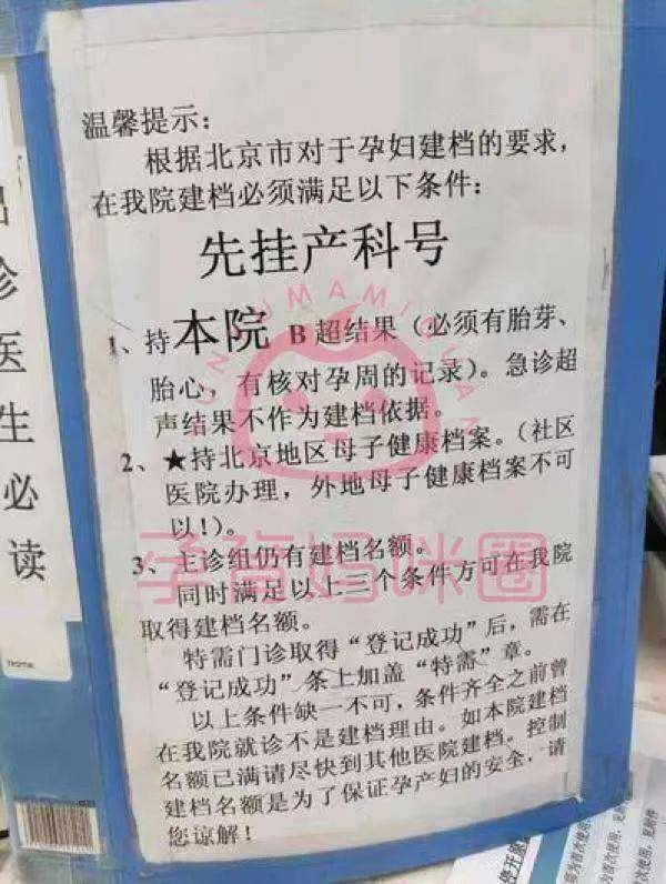 全程干货（恶搞怀孕b超图片大全）恶搞怀孕b超单图片高清 第3张