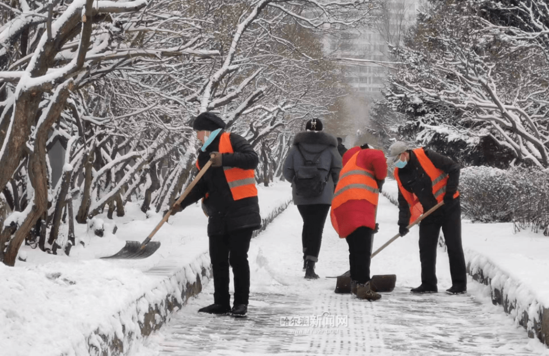 雪不断下！清冰雪大军连夜战春雪｜省内27条高速封锁