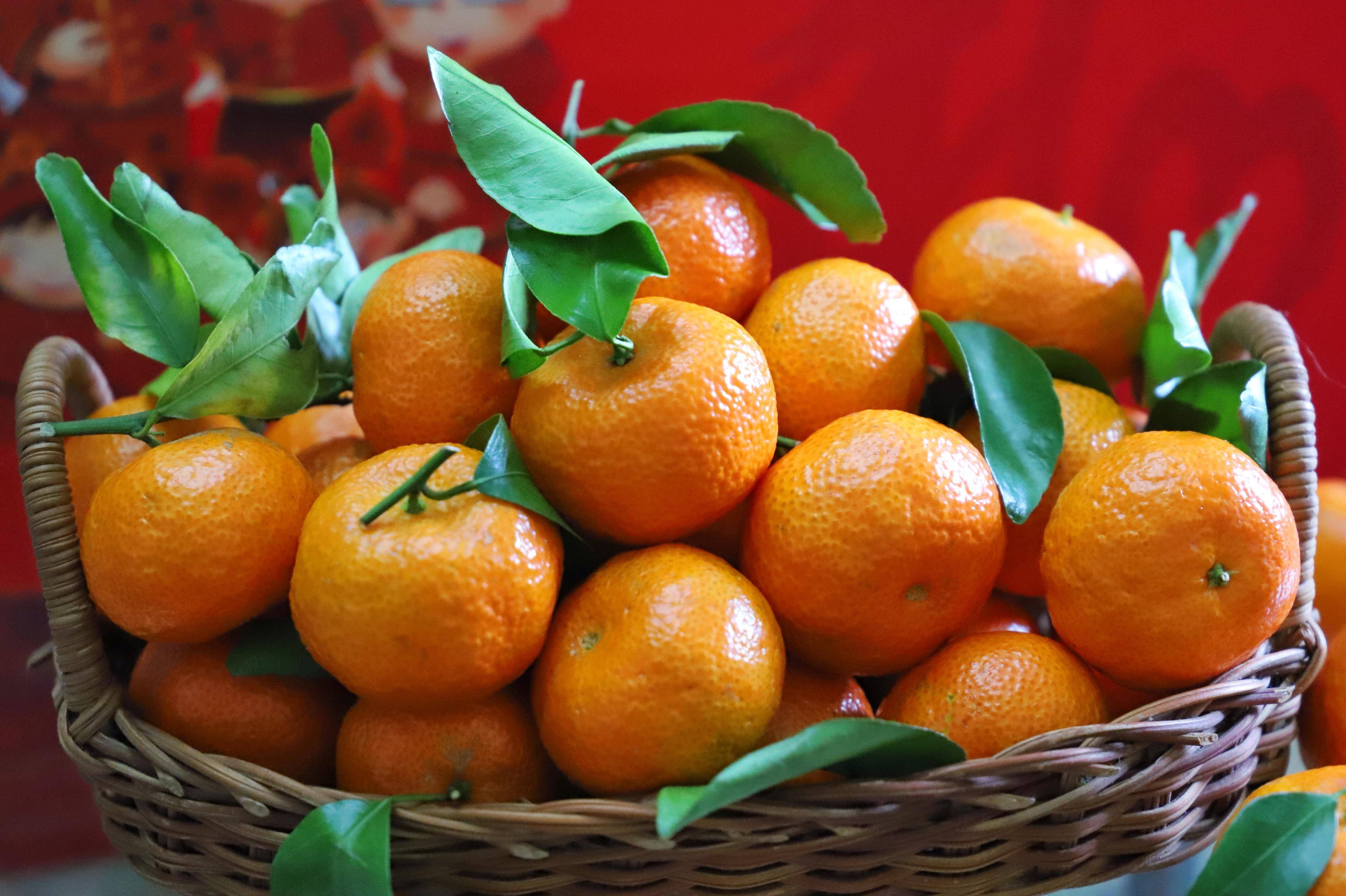 新年买水果,不论贵贱,5种"吉祥果"不能少,寓意兔年大吉大利_苹果_桂圆